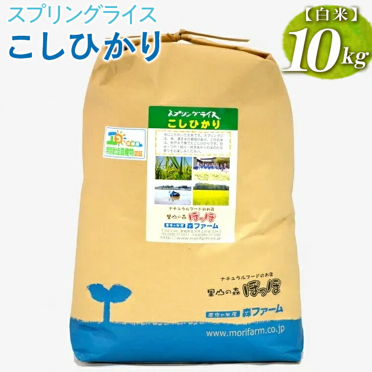 19位! 口コミ数「0件」評価「0」スプリングライス こしひかり (白米)10kg_BI26※着日指定不可