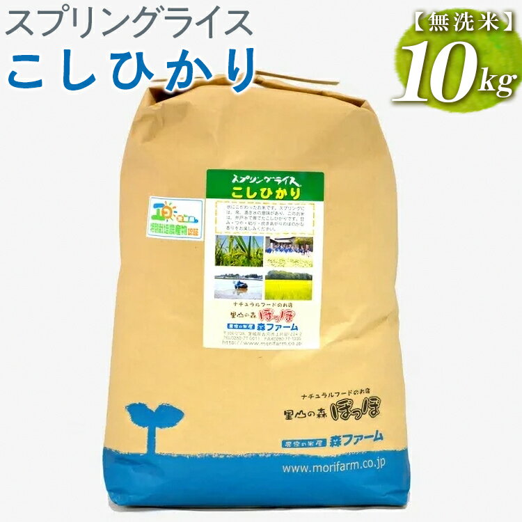 19位! 口コミ数「0件」評価「0」スプリングライス こしひかり (無洗米)10kg_BI40※着日指定不可