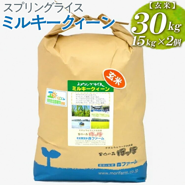 【ふるさと納税】スプリングライス ミルキークィーン (玄米)30kg(15kg×2個)_BI64※着日指定不可