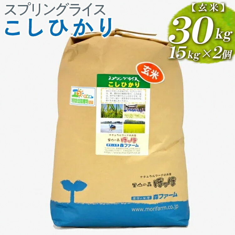 【ふるさと納税】スプリングライス こしひかり (玄米)30kg(15kg×2個)_BI68※着日指定不可