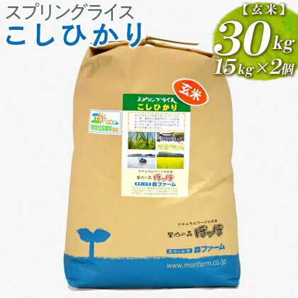 スプリングライス こしひかり (玄米)30kg(15kg×2個)_BI68※着日指定不可