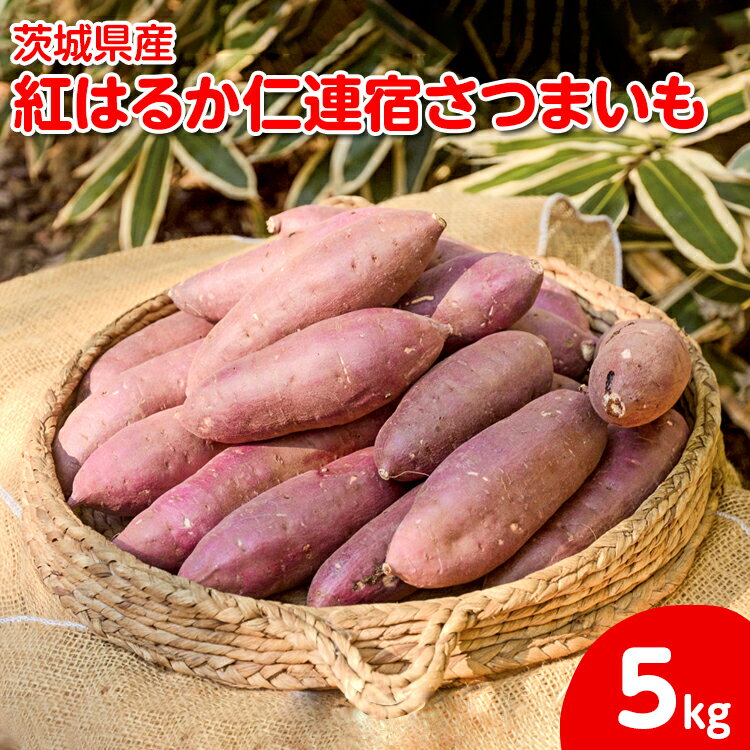 【ふるさと納税】【2025年12月より順次発送】【サイズミックス】茨城県産紅はるか仁連宿さつまいも5kg ｜ さつまいも 薩摩芋 いも 芋 野菜 健康 ヘルシー おやつ スイーツ 食物繊維 生芋 生いも 国産 ギフト 贈答 贈り物 プレゼント 農家直送 産地直送 茨城県 古河市 _FP01