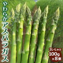 【ふるさと納税】やわらかアスパラガス 100g×8束 ※2025年8月中旬〜9月中旬頃に発送予定|あすぱら アスパラ アスパラガス 800g おいしい ギフト ...