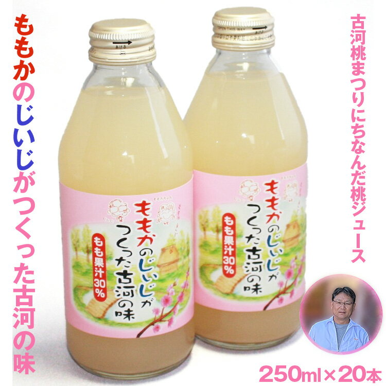 ももかのじいじがつくった古河の味 250ml×20本入_EG01※着日指定不可