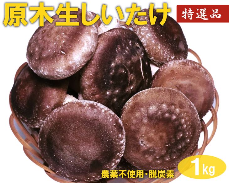 29位! 口コミ数「0件」評価「0」原木生しいたけ　1kg_DR02｜特大厚肉品 特選品 贈答用 農薬不使用 脱炭素※離島への配送不可