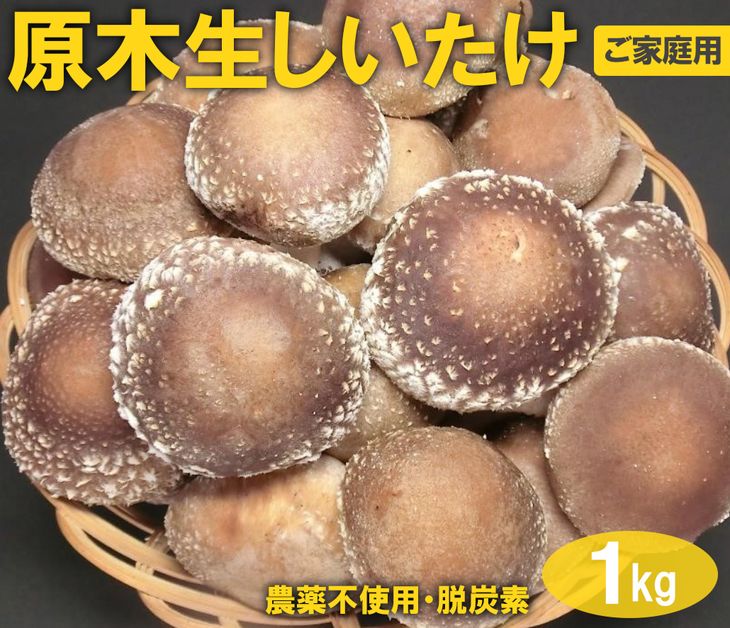 【ふるさと納税】原木生しいたけ　1kg_DR03｜ご家庭用 贈答用 農薬不使用 脱炭素※離島への配送不可