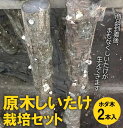 【ふるさと納税】原木しいたけ栽培セット・ホダ木2本入り ※離島への配送不可 _DR04