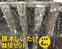 【ふるさと納税】原木しいたけ栽培セット・ホダ木4本入り ※離島への配送不可 _DR05
