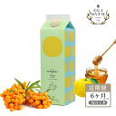 11位! 口コミ数「0件」評価「0」【定期便】「サジー+ゆず」ジュース 1,000ml×毎月1本 6ヶ月コース（計6本）｜サジージュース サジー シーベリー 沙棘 グアマラル ･･･ 