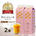 9位! 口コミ数「0件」評価「0」「サジー 100%」ジュース 1,000ml×2本 セット｜サジージュース サジー シーベリー 沙棘 グアマラル 健康ドリンク 健康 美容 ･･･ 