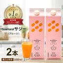 【ふるさと納税】「サジー 100%」ジュース 1,000ml×2本 セット|サジージュース サジー シーベリー 沙棘 グアマラル 健康ドリンク 健康 美容 栄養...