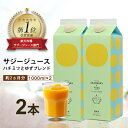 「サジー+ゆず」ジュース 1,000ml×2本 セット｜サジージュース サジー シーベリー 沙棘 グアマラル 健康ドリンク 健康 美容 栄養 果汁 鉄分補給 栄養補給 健康食品_DX05