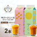 「サジー 100%」と「サジー+ゆず」ジュース 飲み比べ セット 1,000ml×各1本（計2本）｜サジージュース 2種類の味 サジー シーベリー 沙棘 グアマラル 健康ドリンク 健康 美容 栄養 果汁 鉄分補給 栄養補給 健康食品_DX06