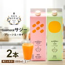 【ふるさと納税】「サジー 100%」と「サジー+ゆず」ジュース 飲み比べ セット 1,000ml×各1本(計2本)|サジージュース 2種類の味 サジー シーベリ...