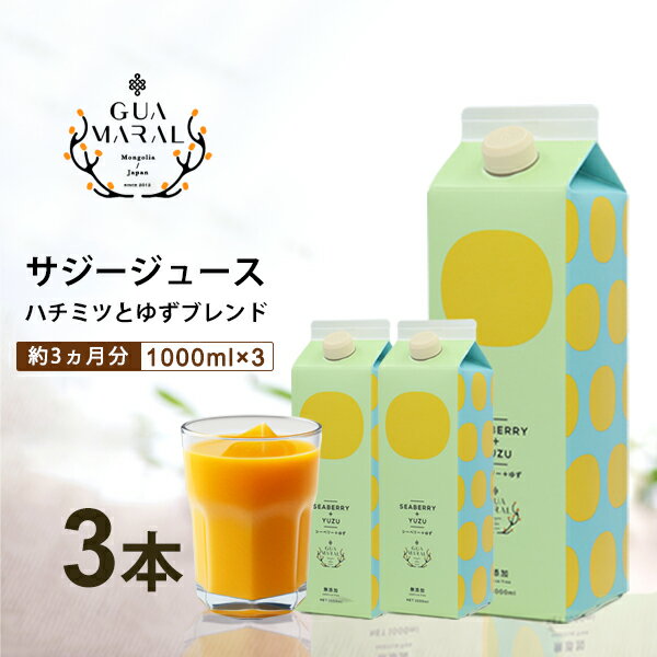 【ふるさと納税】「サジー+ゆず」ジュース 1,000ml×3本 セット｜サジージュース サジー シーベリー 沙棘 グアマラル 健康ドリンク 健康 美容 栄養 果汁 鉄分補給 栄養補給 健康食品_DX08