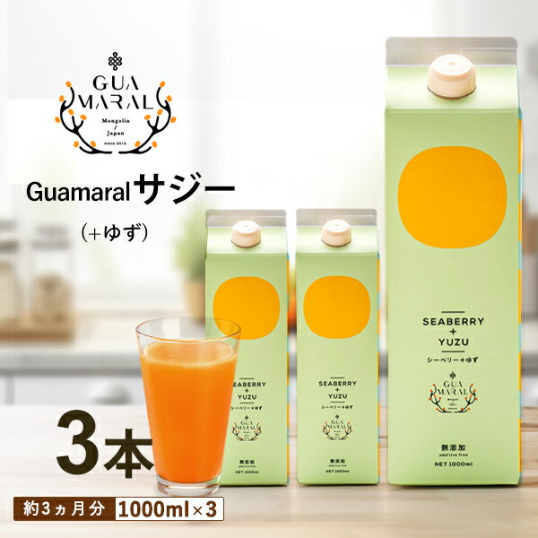 8位! 口コミ数「0件」評価「0」「サジー+ゆず」ジュース 1,000ml×3本 セット｜サジージュース サジー シーベリー 沙棘 グアマラル 健康ドリンク 健康 美容 栄養･･･ 