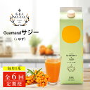 【ふるさと納税】【定期便】「サジー+ゆず」ジュース 1,000ml×毎月1本 6ヶ月コース(計6本)|サジージュース サジー シーベリー 沙棘 グアマラル 健康...