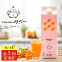 【ふるさと納税】【定期便5カ月】サジー グアマラルサジー 1000ml 毎月1本5カ月コース|サジージュース サジー シーベリー 沙棘 グアマラル 健康ドリンク...