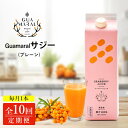 【ふるさと納税】【定期便10カ月】サジー グアマラルサジー 1000ml 毎月1本10カ月コース|サジージュース サジー シーベリー 沙棘 グアマラル 健康ドリンク 健康 美容 栄養 果汁 鉄分補給 栄養補給 健康食品 _DX29