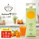 【ふるさと納税】【定期便8カ月】サジー グアマラルサジー+ゆず 1000ml 毎月1本8カ月コース|サジージュース サジー 沙棘 グアマラル 健康ドリンク 健康 美容 栄養 果汁 鉄分補給 栄養補給 健康食品 _DX32