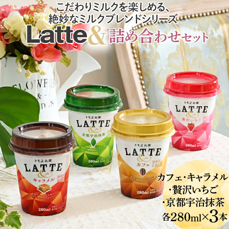 DT02_こだわりミルクを楽しめる、絶妙なミルクブレンドシリーズ Latte＆詰め合わせセット※着日指定不可