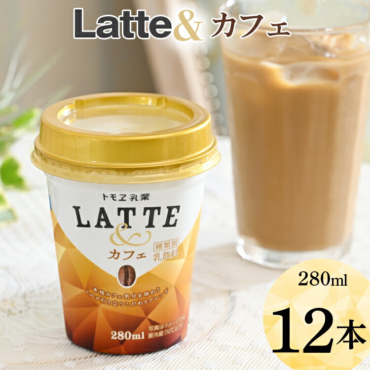 【ふるさと納税】DT03_latte&　カフェ　12本※着日指定不可 1