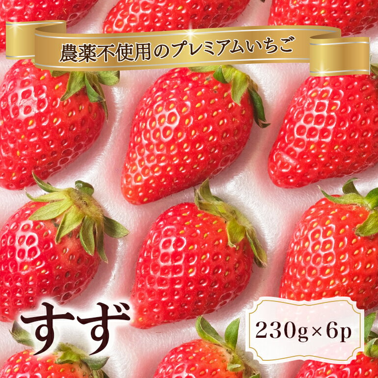 【ふるさと納税】 農薬を使わず育てた安心安全 イチゴ すず 6パック いちご 苺 ナノバブル水素水使用 農薬不使用 希少 国産 果物 フルーツ くだもの 冬 旬 産地直送 農家直送 産直 甘い デザート スイーツ 家庭用 贈答 贈答用 茨城 茨城県 石岡市 (A14-004)のサムネイル