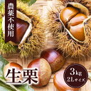 【ふるさと納税】 生栗 3kg(果じゅまる園) 栗 くり クリ 2L サイズ 1キロ 農薬不使用 殺虫剤不使用 国産 和栗 甘栗 果物 フルーツ くだもの 秋 ...