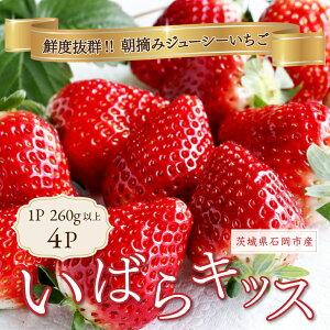 【ふるさと納税】いちご いばらキッス 4p Rafすとろべりーふぁーむ イチゴ 苺 4パック 国産 果物 フルーツ くだもの 1月 2月 3月 発送 冬 旬 産地直送 農家直送 産直 甘い デザート スイーツ 家庭用 贈答 贈答用 茨城 茨城県 石岡市 (A27-001)