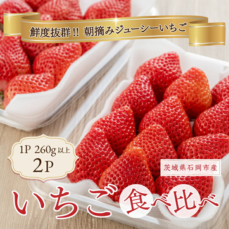 【ふるさと納税】いちご 旬の苺 食べ比べセット 2p Rafすとろべりーふぁーむ イチゴ 苺 2パック 国産 果物 フルーツ くだもの 1月 2月 3月 発送 冬 旬 産地直送 農家直送 産直 甘い デザート スイーツ 家庭用 贈答 贈答用 茨城 茨城県 石岡市 (A27-003)のサムネイル