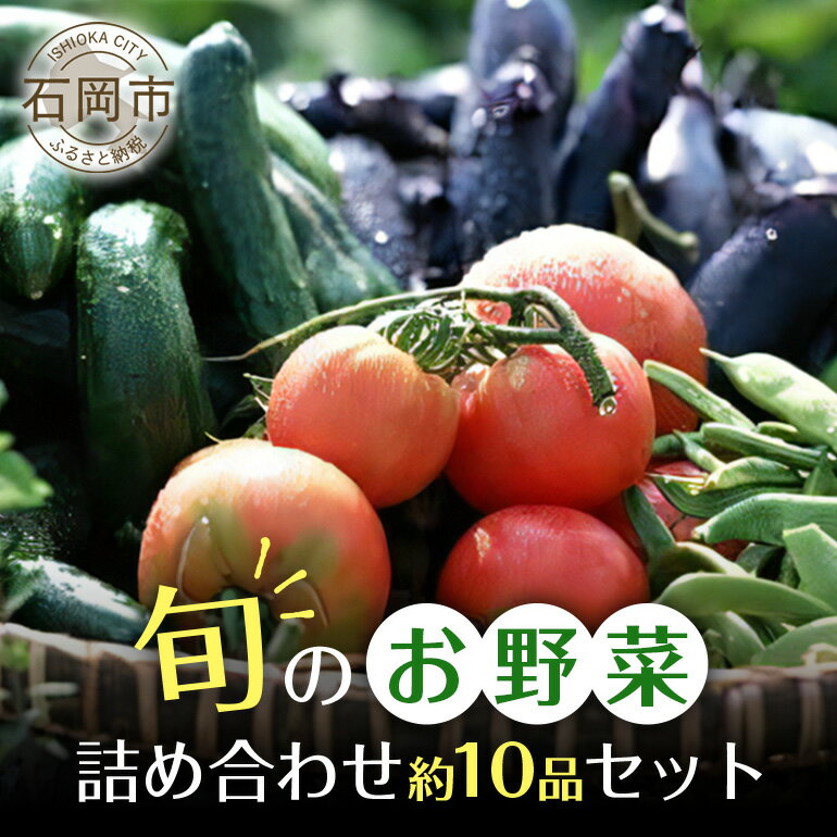 石岡の旬野菜詰め合わせ 約10品目 新鮮野菜セット 野菜 詰合せ 詰め合わせセット 詰め合わせ お任せ 旬の味 産地直送 農家直送 産直 お任せセット 茨城県 石岡市 ほりぐち農園 (B01-001)