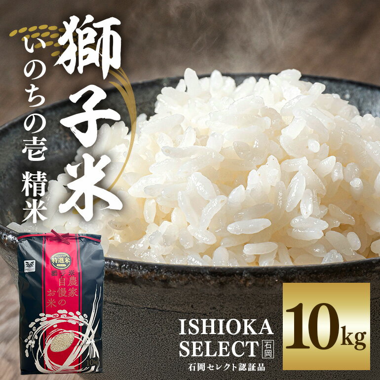 [令和6年産]獅子米 いのちの壱 精米 10kg 岡田ファーム コンテスト受賞米 お米 白米 米 おこめ 10キロ 国産 コメ こめ ご飯 茨城県産 茨城 産直 産地直送 農家直送 ごはん 家庭用 贈答用 お取り寄せ 茨城県 石岡市 送料無料 (B02-018)