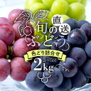 【ふるさと納税】【 2025年 先行予約 】 旬のぶどう 色とりどり 詰合せ 2kg 太郎兵衛果樹園 3房 〜 5房 詰め合わせ 品種 お任せ 食べ比べ セット...