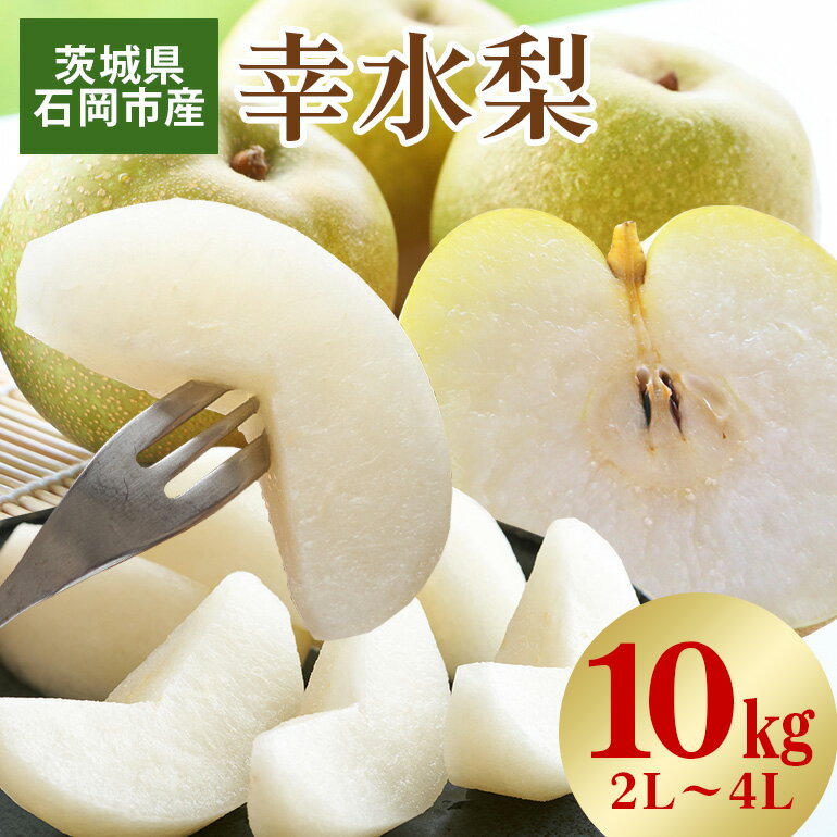 【ふるさと納税】【 2025年 先行予約 】 幸水梨 2L〜4L( 二段 10kg )梨 約 24玉 〜 32玉 品種 幸水 なし ナシ 果物 フルーツ 4L 3L 2L サイズ 10キロ 8月 発送 夏 旬 産地直送 農家直送 産直 国産 くだもの 甘い 酸味 茨城県産 茨城県 石岡市 送料無料 (G206)