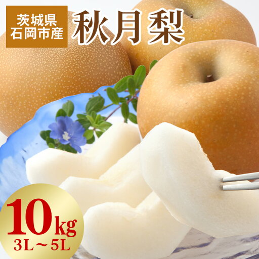 【ふるさと納税】【 2025年 先行予約 】 秋月梨 3L〜5L(二段10kg)梨 約 20玉 〜 28玉 品種 秋月 あきづき なし ナシ 果物 フルーツ 大玉 3L 4L 5L サイズ 10キロ 9月 10月 発送 秋 旬 産地直送 農家直送 産直 国産 くだもの 甘い 茨城県産 石岡市 送料無料 (A15-004) 【ふるさと納税】【 2025年 先行予約 】 秋月梨 3L〜5L(二段10kg)梨 約 20玉 〜 28玉 品種 秋月 あきづき なし ナシ 果物 フルーツ 大玉 3L 4L 5L サイズ 10キロ 9月 10月 発送 秋 旬 産地直送 農家直送 産直 国産 くだもの 甘い 茨城県産 石岡市 送料無料 (A15-004)