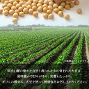茨城県石岡市の画像3