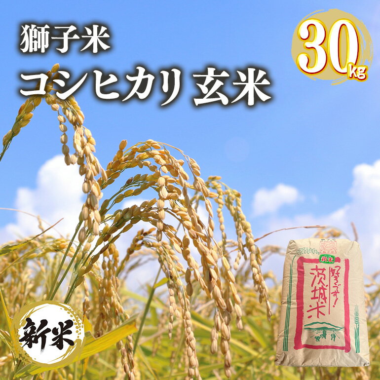 お米30キロ|農家から直接米を買うことができる安い米などの人気 お米30キロ|農家から直接米を買うことができる安い米などの人気