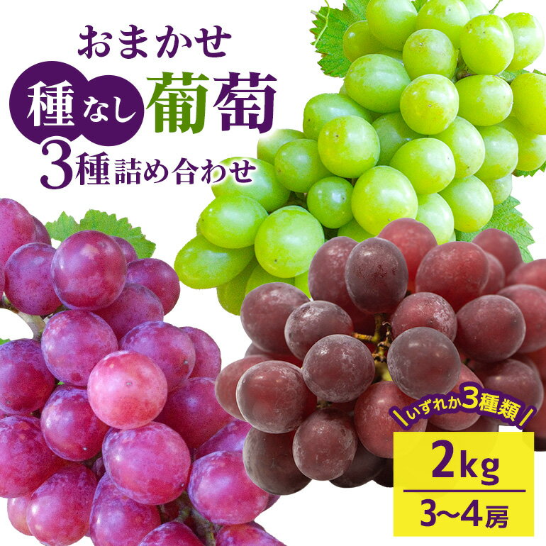 【ふるさと納税】【 2026年 先行予約 】 おまかせ 種なし 葡萄 3種 詰め合わせ 2kg 開田ぶどう園 3房 ~ 4房 種無し 品種 お任せ 食べ比べ セット ぶどう ブドウ 果物 くだもの フルーツ 2キロ 秋 旬 茨城県産 産地直送 産直 農家直送 冷蔵 茨城県 石岡市 (A01-010)