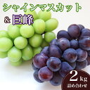 【ふるさと納税】【 2025年 先行予約 】 シャインマスカット と 巨峰 ( 種あり ) 2kg 石田ぶどう園 ぶどう 詰合せ ブドウ 国産 果物 葡萄 フルーツ 2キロ 9月 10月 発送 秋 旬 品種 茨城県産 産地直送 産直 農家直送 冷蔵 茨城県 石岡市 (A02-008)