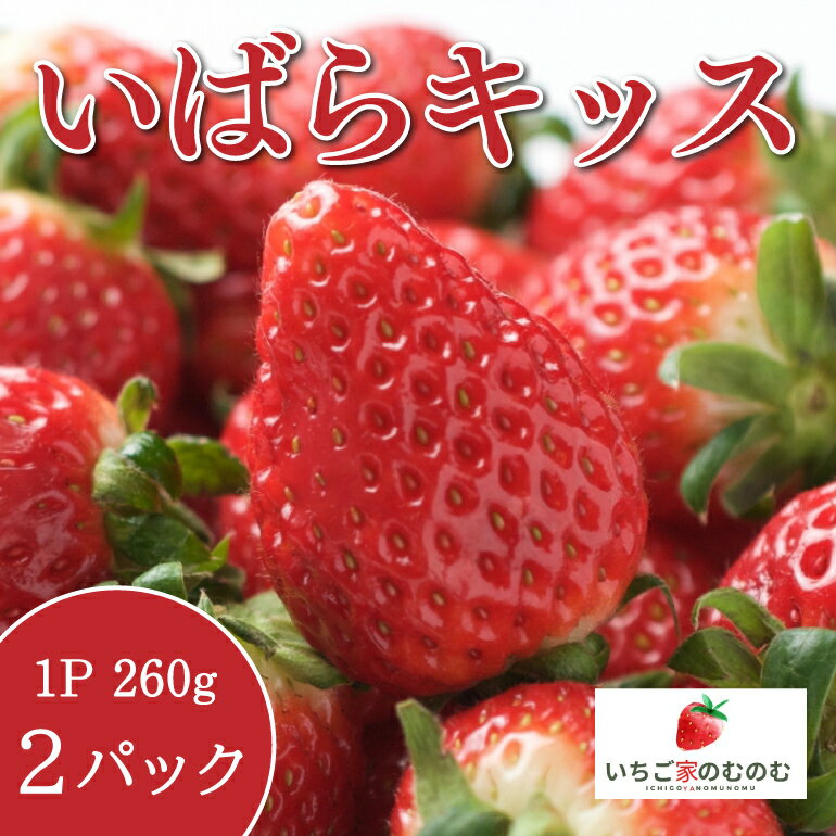 【ふるさと納税】いちご いばらキッス 2p いちご家のむのむ イチゴ 苺 2パック 国産 果物 フルーツ くだもの 1月 2月 発送 冬 旬 産地直送 農家直送 産直 甘い デザート スイーツ 家庭用 贈答 贈答用 茨城 茨城県 石岡市 (A28-002)のサムネイル