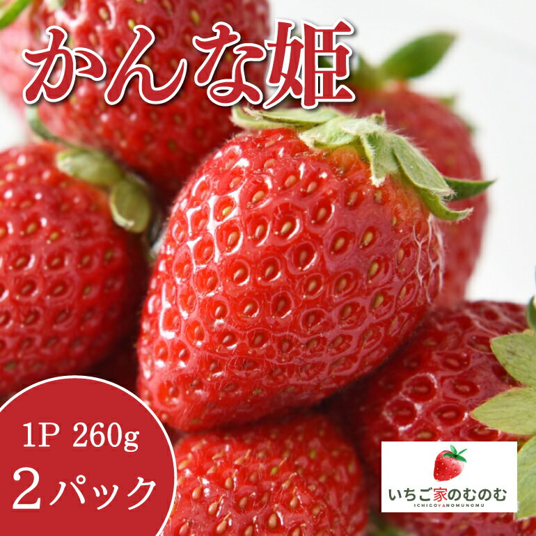 【ふるさと納税】いちご かんな姫 2p いちご家のむのむ イチゴ 苺 2パック 国産 果物 フルーツ くだもの 1月 2月 3月 発送 冬 旬 産地直送 農家直送 産直 甘い デザート スイーツ 家庭用 贈答 贈答用 茨城 茨城県 石岡市 (A28-004)のサムネイル