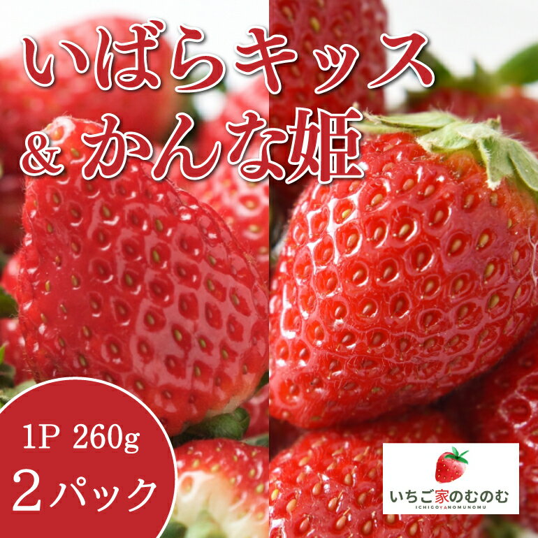 【ふるさと納税】いちご いばらキッス 1p ＆ かんな姫 1p 計2p いちご家のむのむ イチゴ 苺 2パック 国産 果物 フルーツ くだもの 1月 2月 発送 冬 旬 産地直送 農家直送 産直 甘い デザート スイーツ 家庭用 贈答 贈答用 茨城 茨城県 石岡市 (A28-006)のサムネイル
