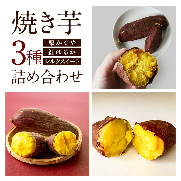 【ふるさと納税】焼き芋 3種詰め合わせ ( 栗かぐや 紅はるか シルクスイート )Mサイズ 2本入り 3袋 ( 計6本 ) 焼き芋 焼いも 焼芋 さつまいも サツマイモ さつま芋 芋 いも スイーツ お菓子 デザート おやつ 国産 しっとり 取り寄せ 送料無料 茨城県 石岡市 (A29-004)