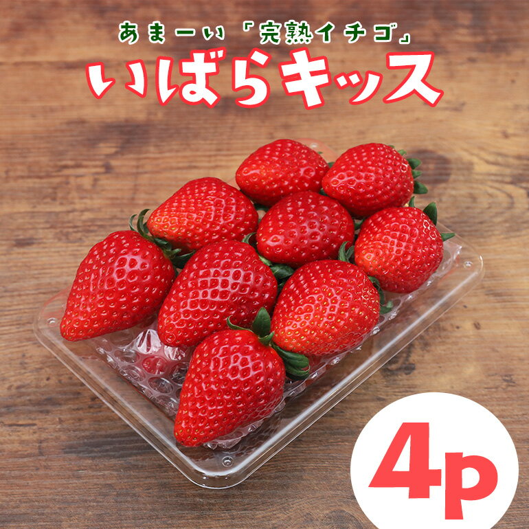 【ふるさと納税】【2026年先行予約】 完熟いちご 「 いばらキッス 」4p 1kg 以上 完熟 いちご 4パック 甘い 高糖度 春 苺 旬 フルーツ 果物 デザート ギフト 贈答用 国産 朝採れ 新鮮 産地直送 茨城県 石岡市 (A31-006)