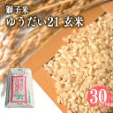 【ふるさと納税】 【令和6年産】獅子米 ゆうだい21 玄米30kg 岡田ファーム コンテスト 最優秀金賞 受賞 お米 米 おこめ ブランド米 30キロ 国産 コ...