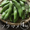 【ふるさと納税】 ソラマメ 4kg そら豆 空豆 産地直送 野菜 冷蔵便 新鮮 国産 茨城県産 季節限定 フレッシュ ベジタブル 豆 まめ そらまめ 農園直送 ...
