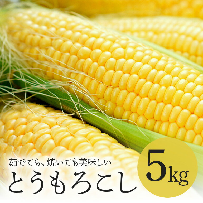 【ふるさと納税】 トウモロコシ 5kg とうもろこし わくわくコーン 白 黄 夏野菜 夏 旬 常温便 国産 茨城県産 野菜 グリーン ベジタブル 茹で 焼き 調理用 家庭用 業務用 農園直送 産地直送 茨城県 石岡市 (A33-003)
