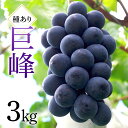 【ふるさと納税】 巨峰 3kg ( 種あり ) 川田ぶどう園 ぶどう ブドウ 国産 果物 くだもの 葡萄 黒系ぶどう 甘い フルーツ 3キロ 9月 発送 秋 旬 品種 茨城県産 産地直送 産直 農家直送 冷蔵 茨城県 石岡市 送料無料 (A06-002)