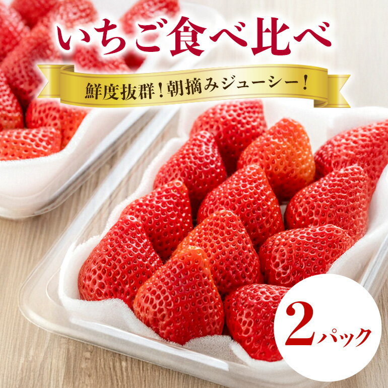 【ふるさと納税】【 2026年 先行予約 】いちご 旬の苺 食べ比べセット 2p Rafすとろべりーふぁーむ イチゴ 苺 2パック 国産 果物 フルーツ くだも...