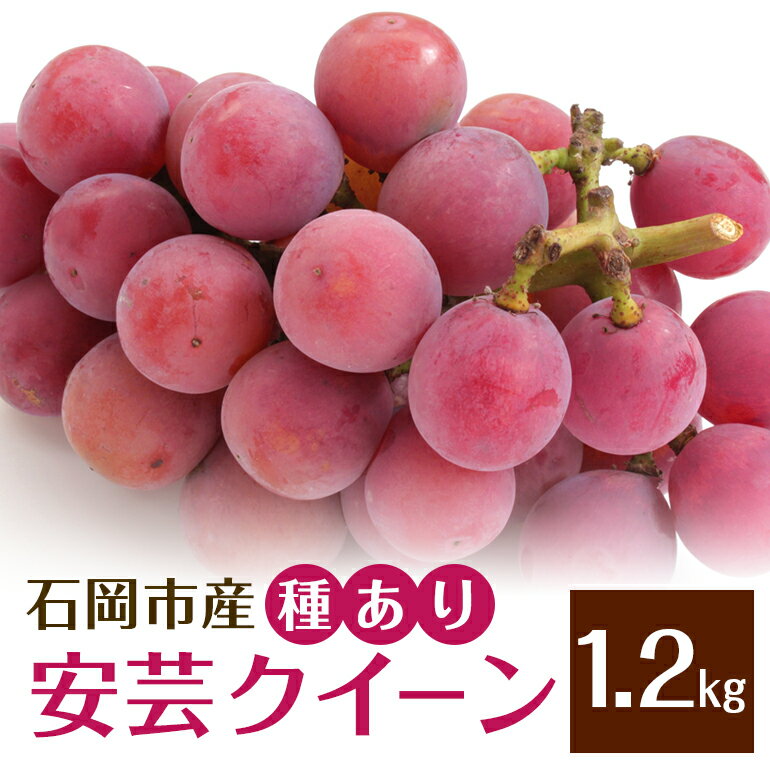 [2026年先行予約]安芸クイーン1.2kg(種あり) ぶどう ブドウ フルーツ 果物 茨城県 石岡市